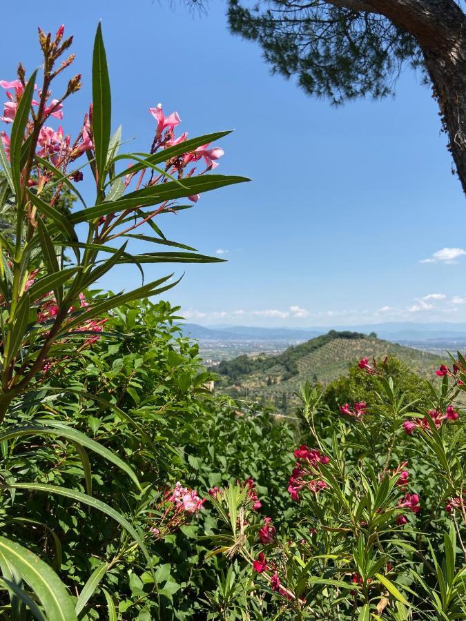 B&B La Rocca Carmignano Ngoại thất bức ảnh