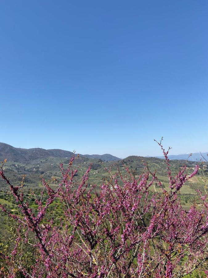 B&B La Rocca Carmignano Ngoại thất bức ảnh