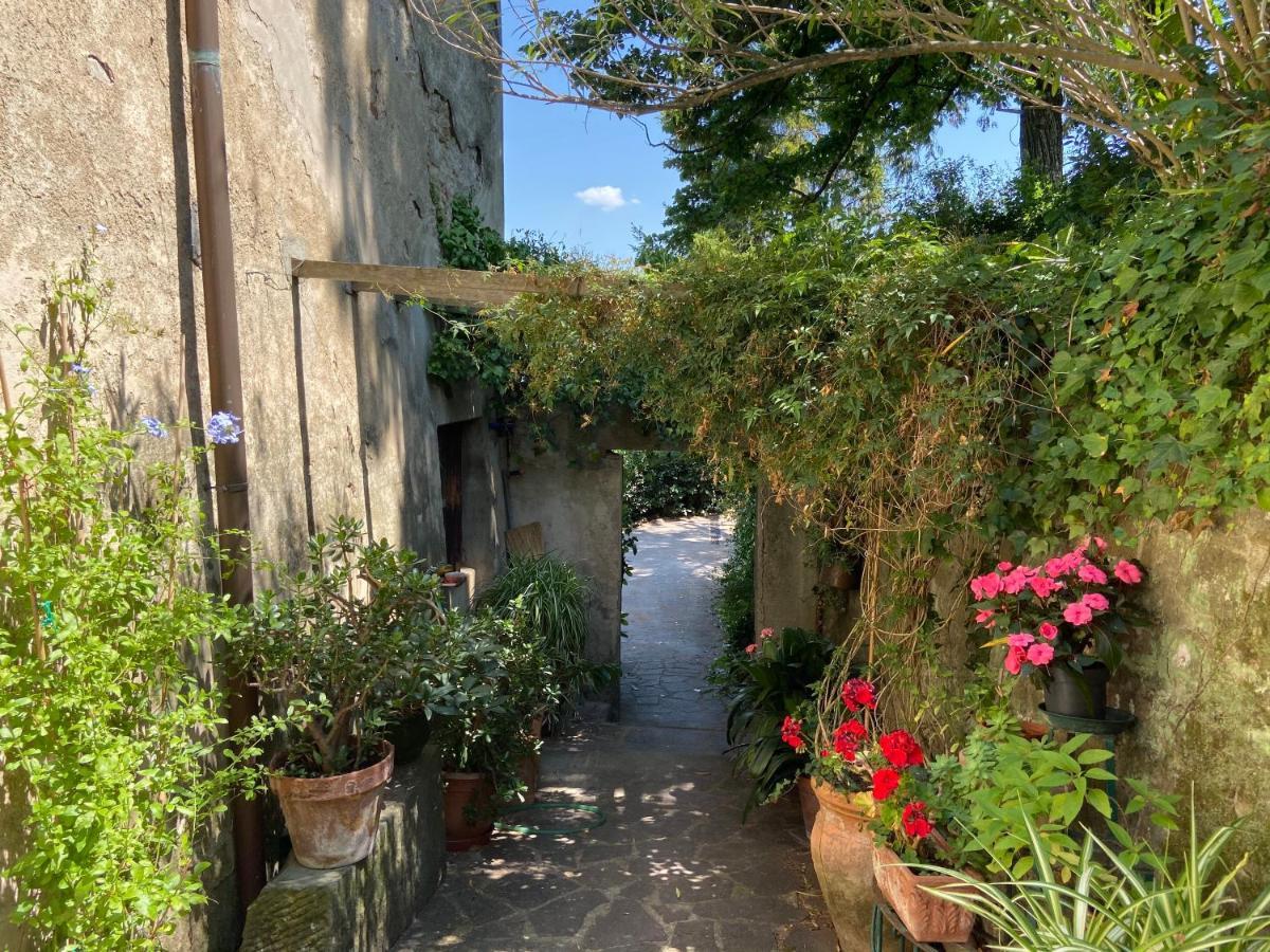 B&B La Rocca Carmignano Ngoại thất bức ảnh